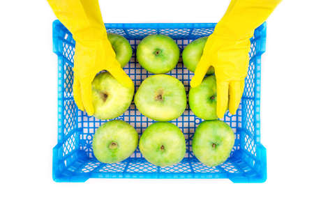 Hand in rubber  protective glove holding box of fresh  green apples. Concept of self protection while virus pandemia.の写真素材