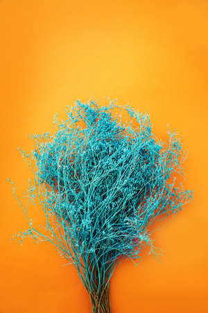 Abstract sea wave colored decorating plant bush on orange wall background. Summer abstract background.の写真素材