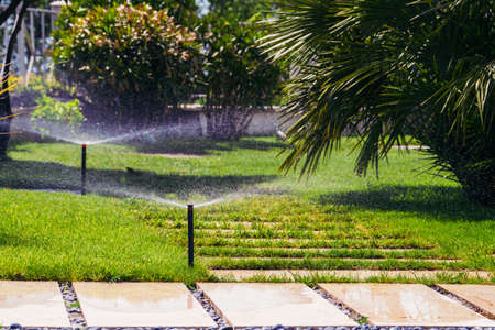 Spraying garden watering system using for lawn and flowers.の写真素材