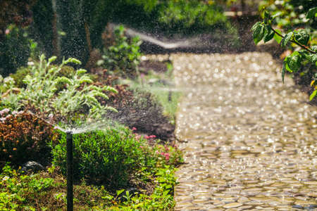 Spraying garden watering system using for lawn and flowers.の写真素材