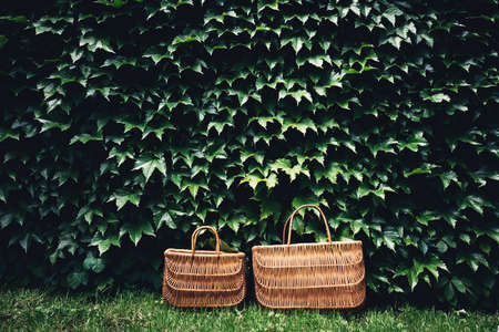 Rattan eco basket for food or lunch in the garden among plants. Eco-friendly concept of consumption and shopping.の写真素材