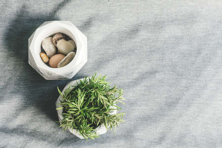 Hand made craft flower pots in geometry style made of gypsum, white and grey colored marble stylized.の写真素材