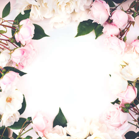 Pastel pink colored roses buds and green leaves composition on white and creamy background. Flat lay style.の写真素材