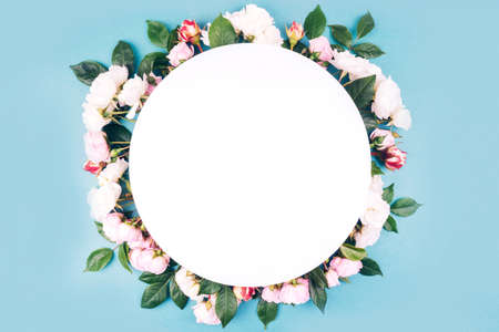 Pink colored roses buds and green leaves composition on white and blue background. Flat lay style.の写真素材