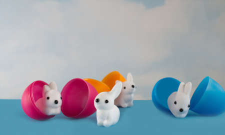 Little cute white bunnies hatch from plastic easter eggs