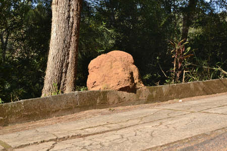 Large termite mound on the side of a road in Petropolis, Rio de Janeiro, Brazilの写真素材