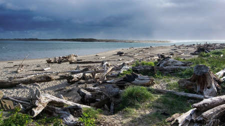 Landscape of an Oregon beach in Lincoln City, featuring logs washed out on the beach and a cloudy...