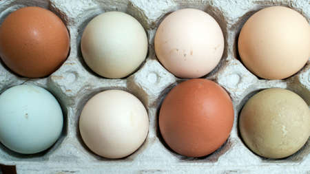 Closeup on eight unwashed chicken eggs in open carton 