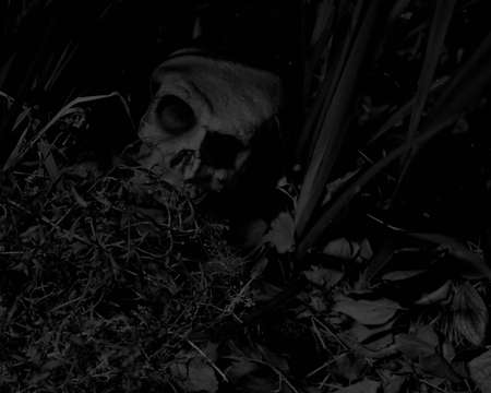 Halloween skeleton in black and white