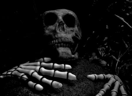 Halloween skeleton in black and white a rock fell over the personの写真素材