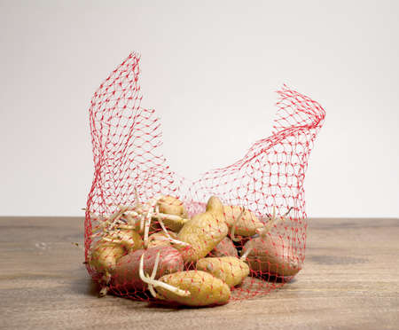 A sac with old potatoes starting to germinate on wooden table against white backgroundの写真素材