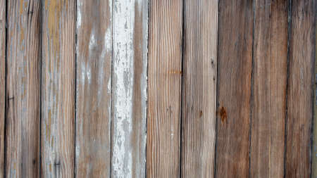 Closeup on vertical wood boards fence, once board has fainted white paint- texture and backgroundの写真素材