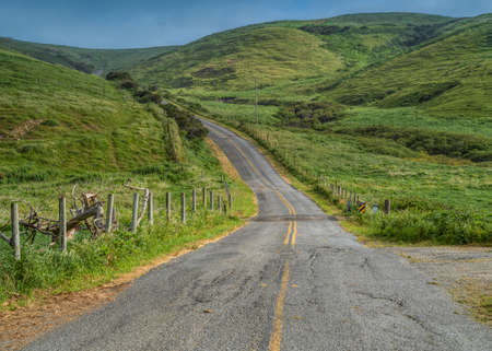 Pierce Point Road in Point Reyes National seashore on a spring day featuring green grass and...