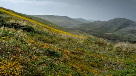 Kehoe Beach trail eastbound in the spring at Point Reyes National Seashore, Marin County, USA, ...