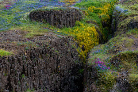 Landscape at North Table Mountain Ecological Preserve, Oroville, California, USA , on a sunny spring...