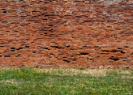 Background consisting of brown brick wall and grass foreground with flowering daisies in the spring