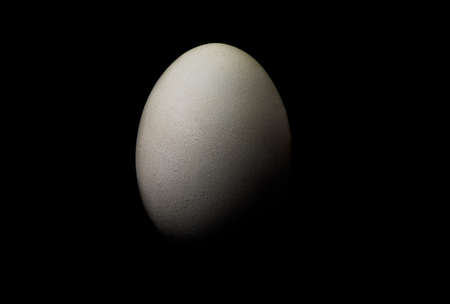 One chicken egg balanced on a black background, viewed from the side and with plently of copy-space...