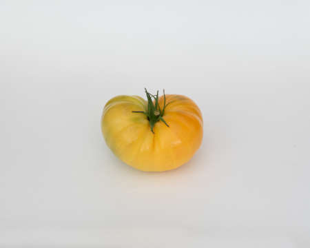 A yellow  heirloom tomato isolated in white backgroundの写真素材