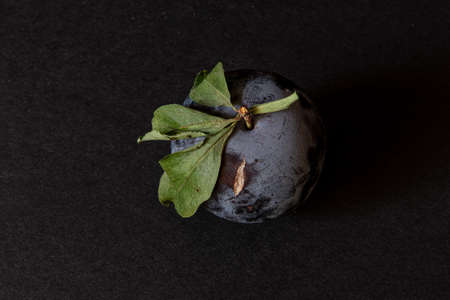 A very ripe purple plum viewed from above on black background, with leaves and plenty of copy-spaceの写真素材