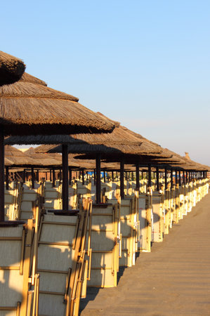 Row of straw tropical type beach umbrellas with deckchairsのeditorial素材