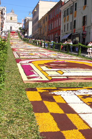 GENZANO, ITALY - JUNE 17: Floral Carpet in the Main Street on June 17, 2012 in Genzano, Italy. This event takes place every year and almost 350.000 flower petals were used this year.のeditorial素材
