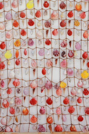 Collection of painted seashellsのeditorial素材