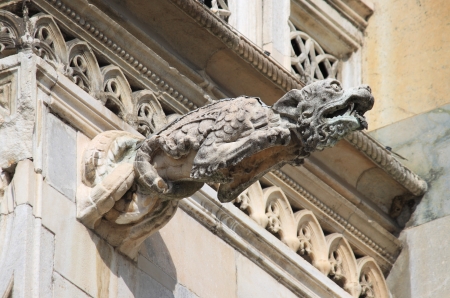 Gargoyle in the cathedral of Monza , Italyの写真素材