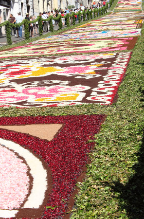 GENZANO, ITALY - JUNE 17: Floral Carpet in the Main Street on June 17, 2012 in Genzano, Italy. This event takes place every year and almost 350.000 flower petals were used this yearのeditorial素材