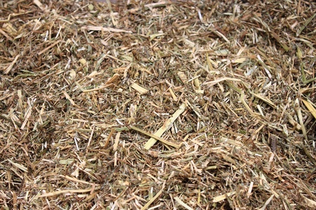 Background of forage-based dry straw