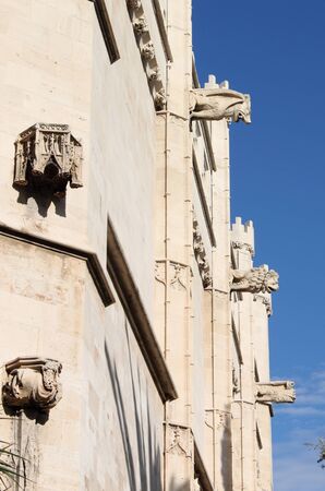 Gargoyles at La Lonja monument in Palma de Mallorca, Spainの写真素材