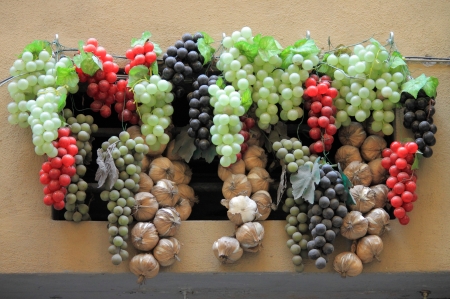Wine grapes decoration with red, green and dark grapesの写真素材