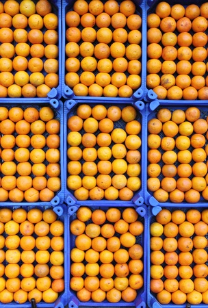 Oranges in rows for sale in a greengroceryの写真素材
