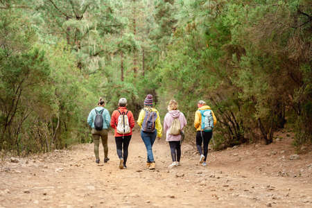 Group of women having fun walking in the woods - Adventure and travel people conceptの写真素材