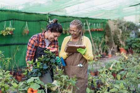 Happy female gardeners working together in plants and flowers shopの写真素材