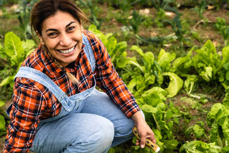 Latin female farmer harvesting lettuce and vegetables from garden - Farm people lifestyle concept