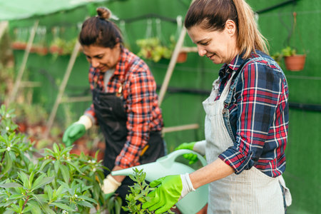 Happy women working together in plants and flowers garden shopの写真素材