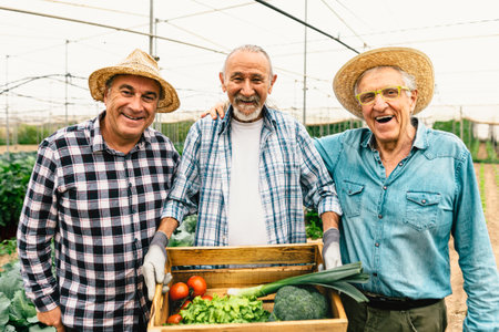 Multiracial senior farmers working inside agricultural greenhouse - Farm people cooperative conceptの写真素材