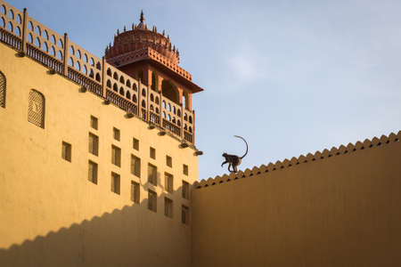 A monkey jumping on an indian buildingの写真素材