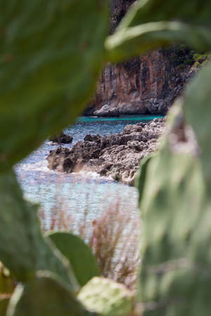 Sight throw prickly pear of the rocky coast and blue mediterranean sea, Sicily, Italyの写真素材