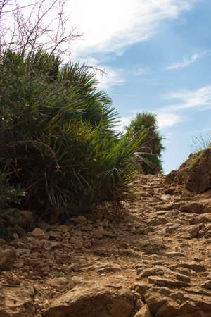 San Vito lo Capo, Sicily. Green bushes, rocks and blue skyの写真素材