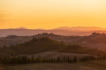 Tuscany countryside panorama, rolling hills and cypresses rows on summer sunset. Italy, Europe
の写真素材