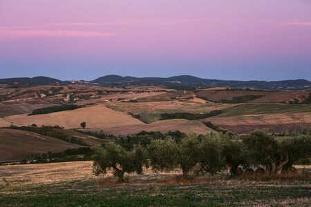 Tuscany countryside panorama, rolling hills and olive trees on blue hour sunset. Italy, Europe