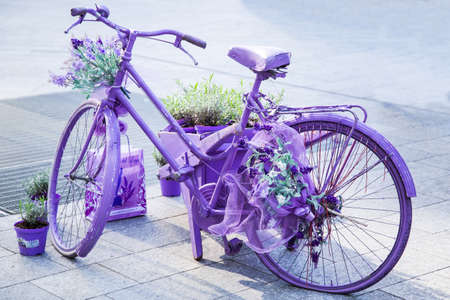 bicicletta lavandaの写真素材