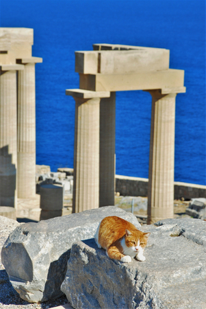 Pillars of a Temple in th aAcropolis of Lindos in Rhodes Islandの写真素材