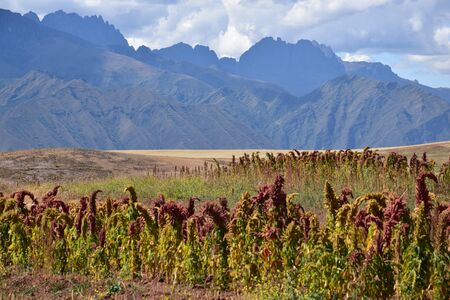 Landscape in the Urubamba Valleyの写真素材
