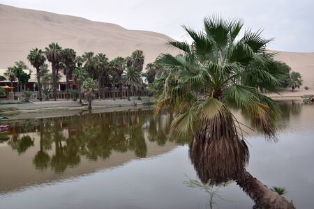 View of Huacachina in Peruの写真素材