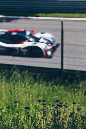 view of flowers and blurred racing car from a metal grid on the background - sports.の写真素材