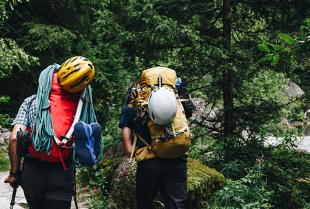 back view of climbers with equipment along the trail in the forest