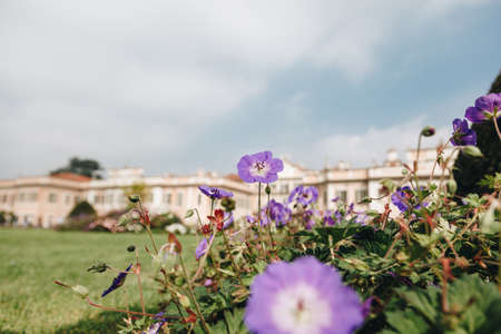 Varese OCT 2018 ITALY - flowers against the Estense Palace, or Palazzo Estenseのeditorial素材