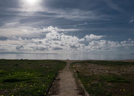 green grass with yellow flowers over a calm sea and blue cloudy sunny sky - peace relax concept.の写真素材